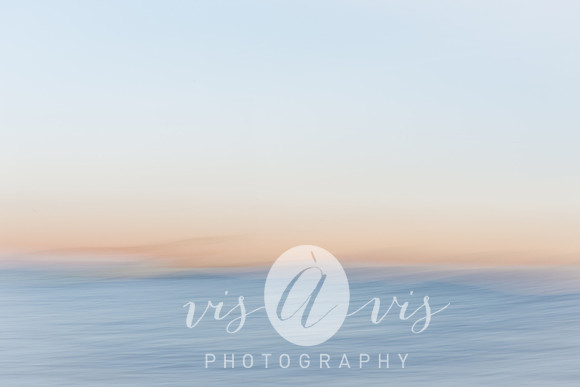 VIS_3006
