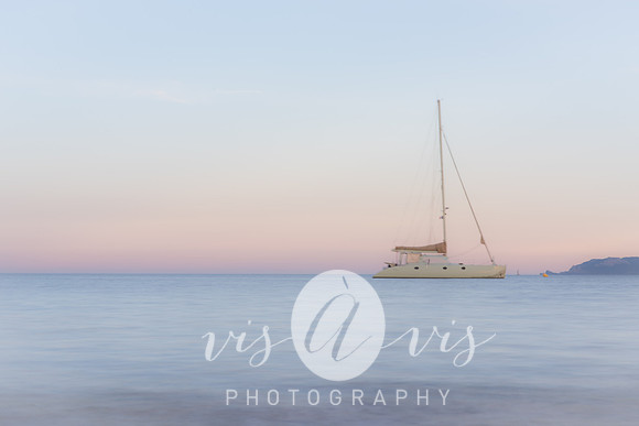 VIS_3019
