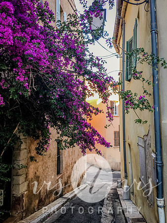 IMG_3789
