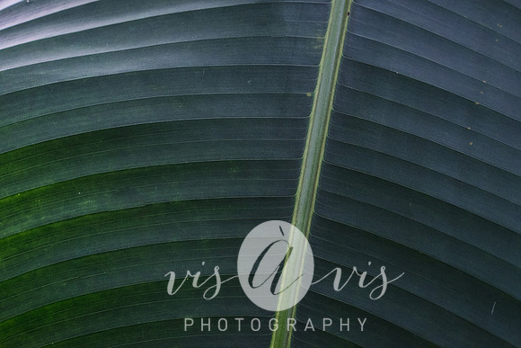 VIS_0847