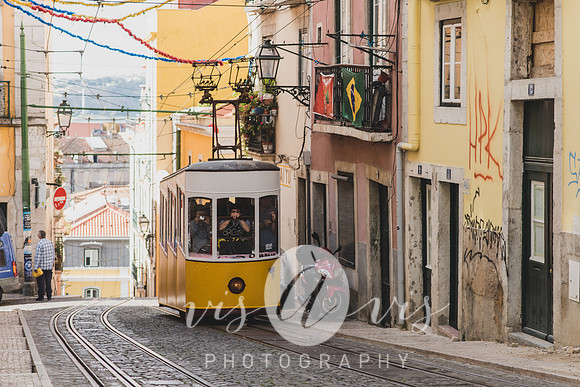 VIS_3186